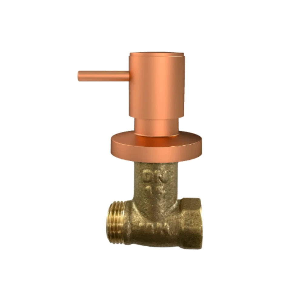 Registro MA Marte Pressao 1/2 DN15 C90 F x M Rose